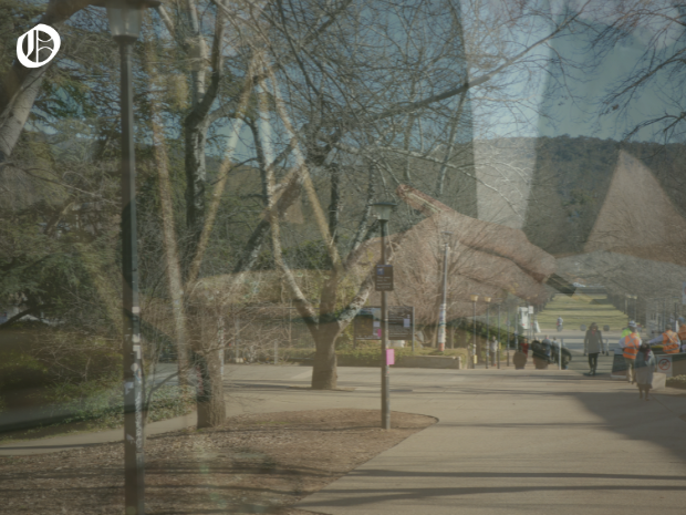 Leaders of ANU Governance Project Reveal Their Names as Reform Push ...